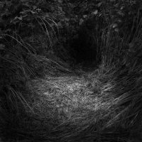 Jolanta Rycerska - Bajki niczyje