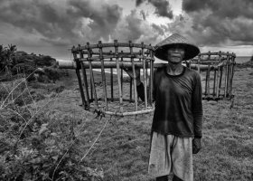 Dorota Nowakowska - Bali. Ludzie