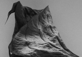 Kasia Dorocińska - Becoming