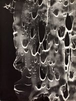 Dziuple pająków, 1957