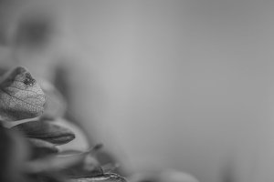 Joanna Chrząszcz - Bezdech