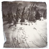 fot. Barbara Krupa-Kapuśniak