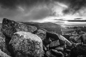 fot. Miroslava Schärfnerová