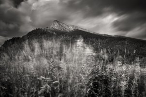 fot. Michał Woźniakowski