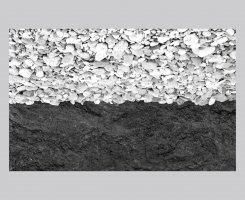 Roman Timofiejuk, Andrzej Zembik - Biało-Czerwona