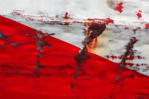 Roman Timofiejuk, Andrzej Zembik - Biało-Czerwona