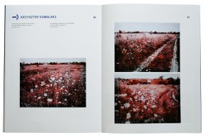 Nie/doskonały błąd - Świat jaki jest, każdy widzi