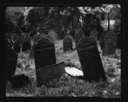 Bogdan Konopka - Szara pamięć