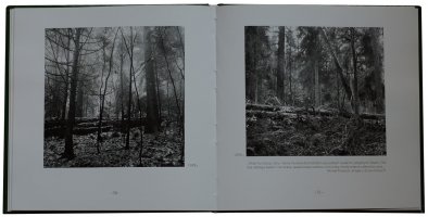 Janusz Buczkowski - Puszcza Jodłowa