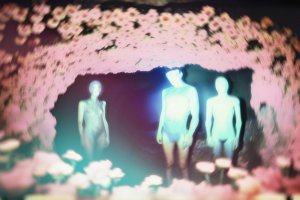 Claudia Fuggetti - Open Program - Metamorphosis Perception