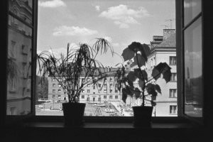 fot. Zygmunt Kubski, widok z okna, osiedle B, ok. 1959, ze zbiorów Muzeum Miejskiego w Tychach