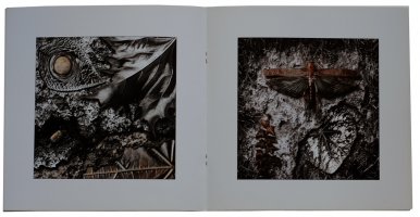 Ryszard Czernow - Martwe z natury