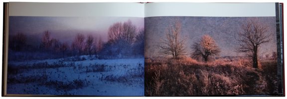 Tomek Sikora - Cztery pory roku