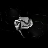 Daniel Mróz - Kontrasty