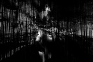 Daniel Mróz - Kontrasty