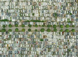 Michał Anioł - Pandemia - Nagroda I