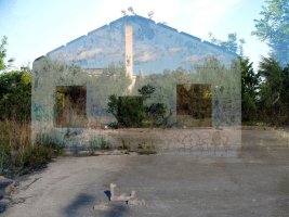 Dagmar Venus - Looking Twice