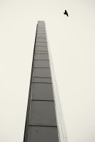 Emil Dzemski Zięba - Dehumana