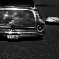 Václav Němec - Dziennik