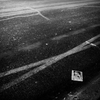 Václav Němec - Dziennik