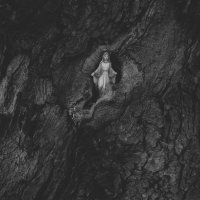 Magdalena i Maksymilian Rigamonti - Echo