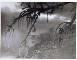 Edmund Zdanowski (1905-1984)