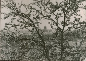 Edmund Zdanowski (1905-1984)