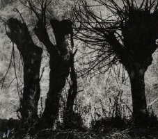 Edward Hartwig. Mazowieckie Krajobrazy