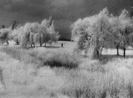 Edward Hartwig. Mazowieckie Krajobrazy