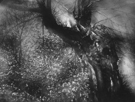 Edward Hartwig. Mazowieckie Krajobrazy