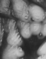 Edward Hartwig. Mazowieckie Krajobrazy