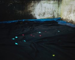 Emilia Martin - The blue of the far distance