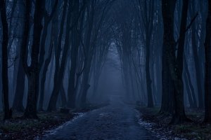 Ewa Matuszczak - Światło