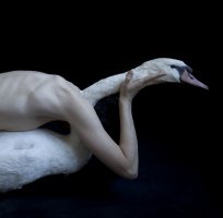 JUUL KRAIJER (Holandia)