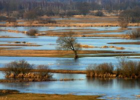 Jerzy Fedorowicz - Fotografie