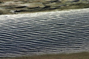 Jerzy Fedorowicz - Fotografie