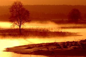 Jerzy Fedorowicz - Fotografie