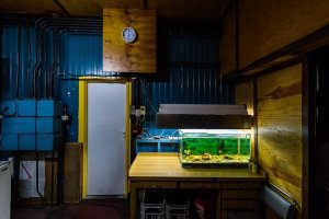 Mariusz Forecki - Prekariusze i celebryci