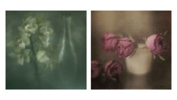 XV Festiwal Fotografii Plener 2025 #To co oku się podoba