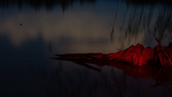 XV Festiwal Fotografii Plener 2025 #To co oku się podoba