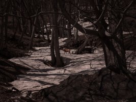 25. Fotofestiwal 2026 - Międzynarodowy Festiwal Fotografii w Łodzi