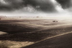 Mirosław Rak - Fotografia ojczysta wiek XXI