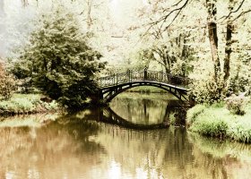 Mirosław Rak - Fotografia ojczysta wiek XXI