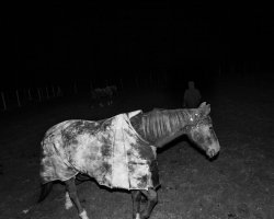 Mateusz Kowalik - Devil's rib