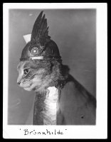 Marta Bogdanska - Shifters