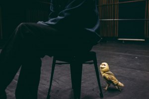 Francesa Todde - Wolność Równość Bioróżnorodność!