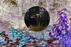 Leszek Górski - Acid