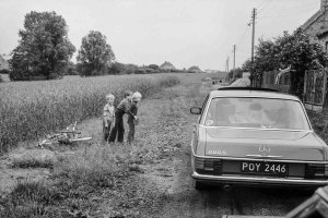 Władysław Nielipiński - Gorzko