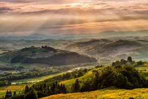 Grzegorz Ojrzyński - Światło