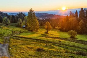 Grzegorz Ojrzyński - Światło